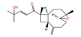 Nanolobatin B